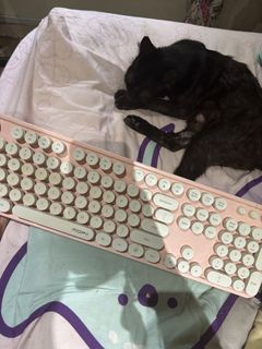 (Category: ) located in . Submitted by aiesyahsya05635 (Listing ID 1428685406, Image 1). Description: .