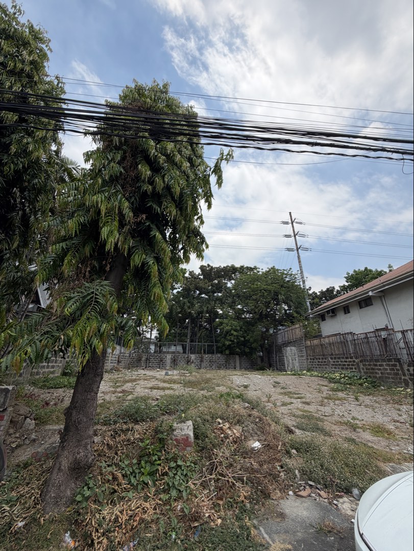 (Category: ) located in . Submitted by brokerhanstaneo_09178038728 (Listing ID 1349405884, Image 1). Description: .