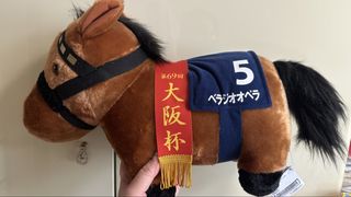 （分類：）位於 。 由 lovelybee888 提交（商品編號 1428874168，圖片 1）。簡介： 。