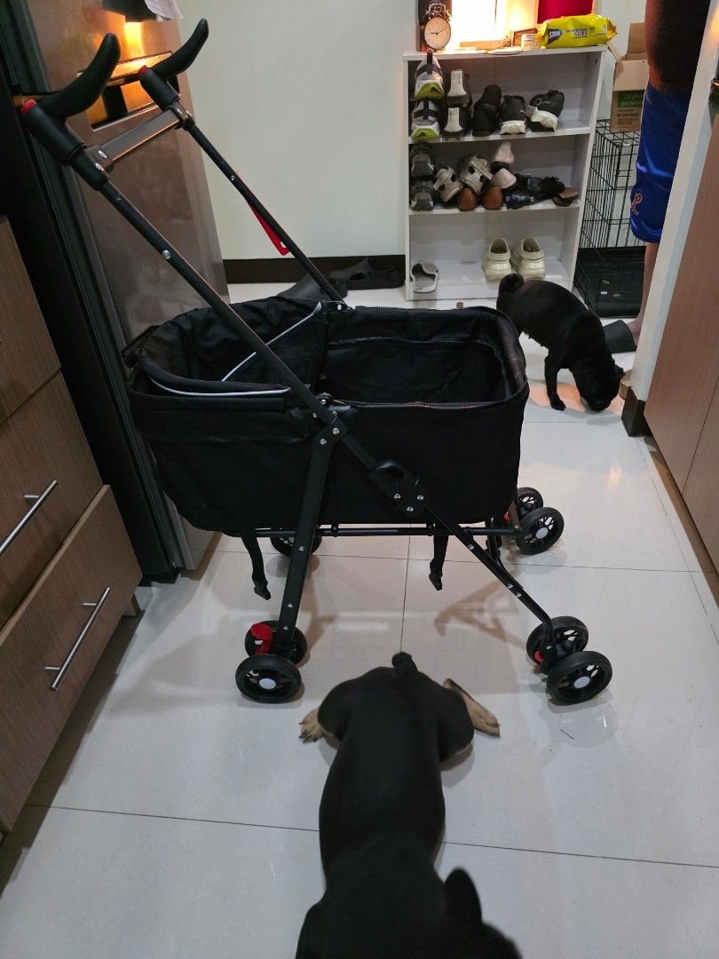 Black Pet Stroller (Category: Homes & Other Pet Accessories) located in Quezon City. Submitted by miavitug (Listing ID 1411312362, Image 2). Description: - Black pet stroller - Comfortable interior - Sturdy frame and wheels - Suitable for small dogs or cats - Well-maintained and clean - Ready for use - Negotiable price .