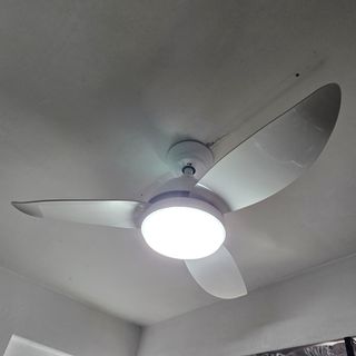 (Category: ) located in . Submitted by lumiqlo (Listing ID 1428812397, Image 1). Description: .