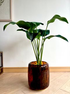 （分類：）位於 。 由 hirafu_2026 提交（商品編號 1429098809，圖片 1）。簡介： 。