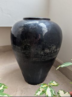(Category: ) located in . Submitted by peanutbutters93 (Listing ID 1429071381, Image 1). Description: .