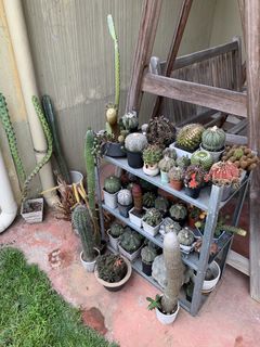 (Category: ) located in . Submitted by Kherock (Listing ID 1429164375, Image 1). Description: .