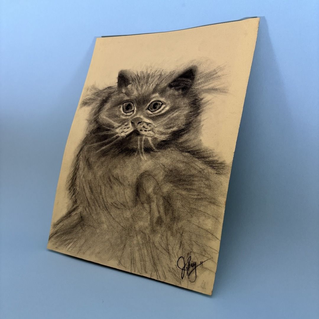 My Garfield - Charcoal Cat Portrait (Category: Art & Prints) located in Manila. Submitted by trainy (Listing ID 1429077208, Image 3). Description: Original charcoal drawing of a fluffy cat. The artwork is on a light-colored paper and features a detailed depiction of the cat's face and fur. Signed by the artist in the bottom right corner. A unique piece of art perfect for cat lovers. Title: My Garfield Medium: Charcoal art on colored paper Size: 1
