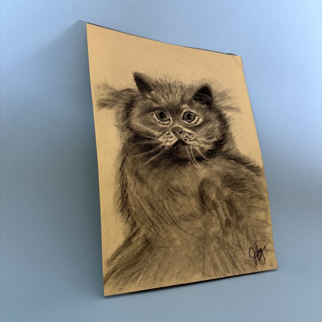 My Garfield - Charcoal Cat Portrait (Category: Art & Prints) located in Manila. Submitted by trainy (Listing ID 1429077208, Image 2). Description: Original charcoal drawing of a fluffy cat. The artwork is on a light-colored paper and features a detailed depiction of the cat's face and fur. Signed by the artist in the bottom right corner. A unique piece of art perfect for cat lovers. Title: My Garfield Medium: Charcoal art on colored paper Size: 1