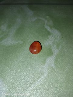 (Category: ) located in . Submitted by man_gems (Listing ID 1429116278, Image 1). Description: .