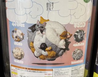 （分類：）位於 。 由 cocofee 提交（商品編號 1429163793，圖片 1）。簡介： 。