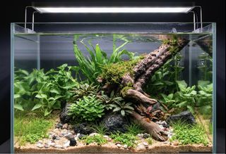 (Category: ) located in . Submitted by built_to_nature (Listing ID 1429008214, Image 1). Description: .