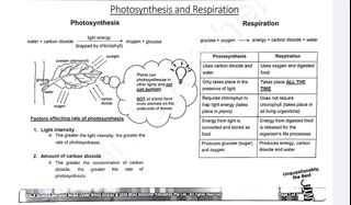 Science PSLE Revision Guide (3rd Edition), Hobbies & Toys, Books ...
