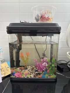 (Category: ) located in . Submitted by tay02 (Listing ID 1429087548, Image 1). Description: .