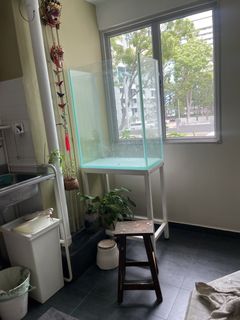 (Category: ) located in . Submitted by Tea-and-Steven (Listing ID 1429030773, Image 1). Description: .