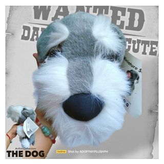 (Category: ) located in . Submitted by adopt.my.plush.ph (Listing ID 1428999940, Image 1). Description: .