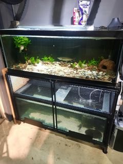 (Category: ) located in . Submitted by robax (Listing ID 1424365835, Image 1). Description: .