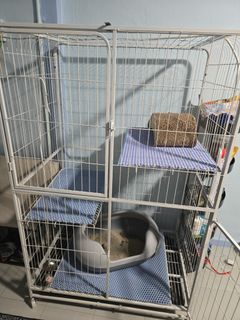 (Category: ) located in . Submitted by pawparent3004 (Listing ID 1424464023, Image 1). Description: .