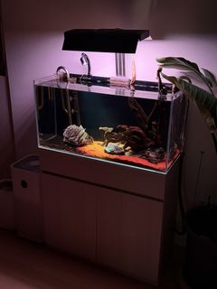 （分類：）位於 。 由 aaaccccaaa 提交（商品編號 1424409515，圖片 1）。簡介： 。