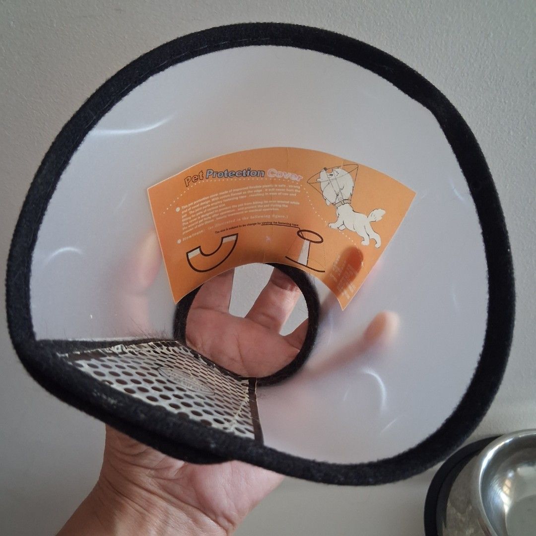 2 Pet Food Bowls and Cone (Category: Homes & Other Pet Accessories) located in Manila. Submitted by decluterring_manila (Listing ID 1429172794, Image 3). Description: x1 - Pet bowl 13cm diameter x1 - Pet bowl 10cm diameter x1 - Pet protection cone 18-24cm radius (Size small, for small pets) Pick-up location: The Manila Residences Tower II, Taft Ave., Malate Manila Near La Salle Taft Buyer can book pick-up via Lalamove, Grabexpress, GogoExpress et