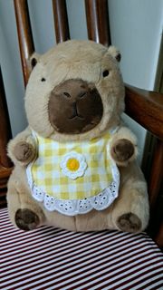 （分類：）位於 。 由 claracheun44231 提交（商品編號 1429281929，圖片 1）。簡介： 。