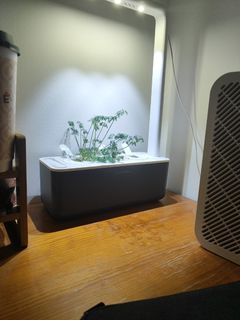 (Category: ) located in . Submitted by bassethh (Listing ID 1429228163, Image 1). Description: .