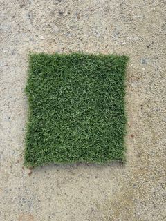 (Category: ) located in . Submitted by noi.gardens (Listing ID 1429287927, Image 1). Description: .