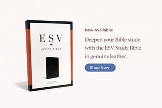 (Category: ) located in . Submitted by christianbooksandbibles (Listing ID 1429171995, Image 1). Description: .