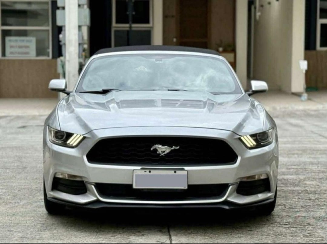 Eco Luxury Security Rentals photo