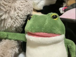 （分類：）位於 。 由 fwntsic 提交（商品編號 1429256261，圖片 1）。簡介： 。