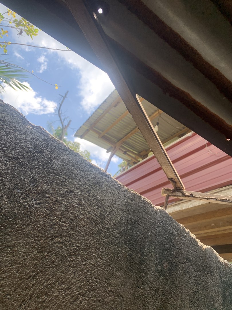 (Category: ) located in . Submitted by nainai01 (Listing ID 1429187292, Image 1). Description: .