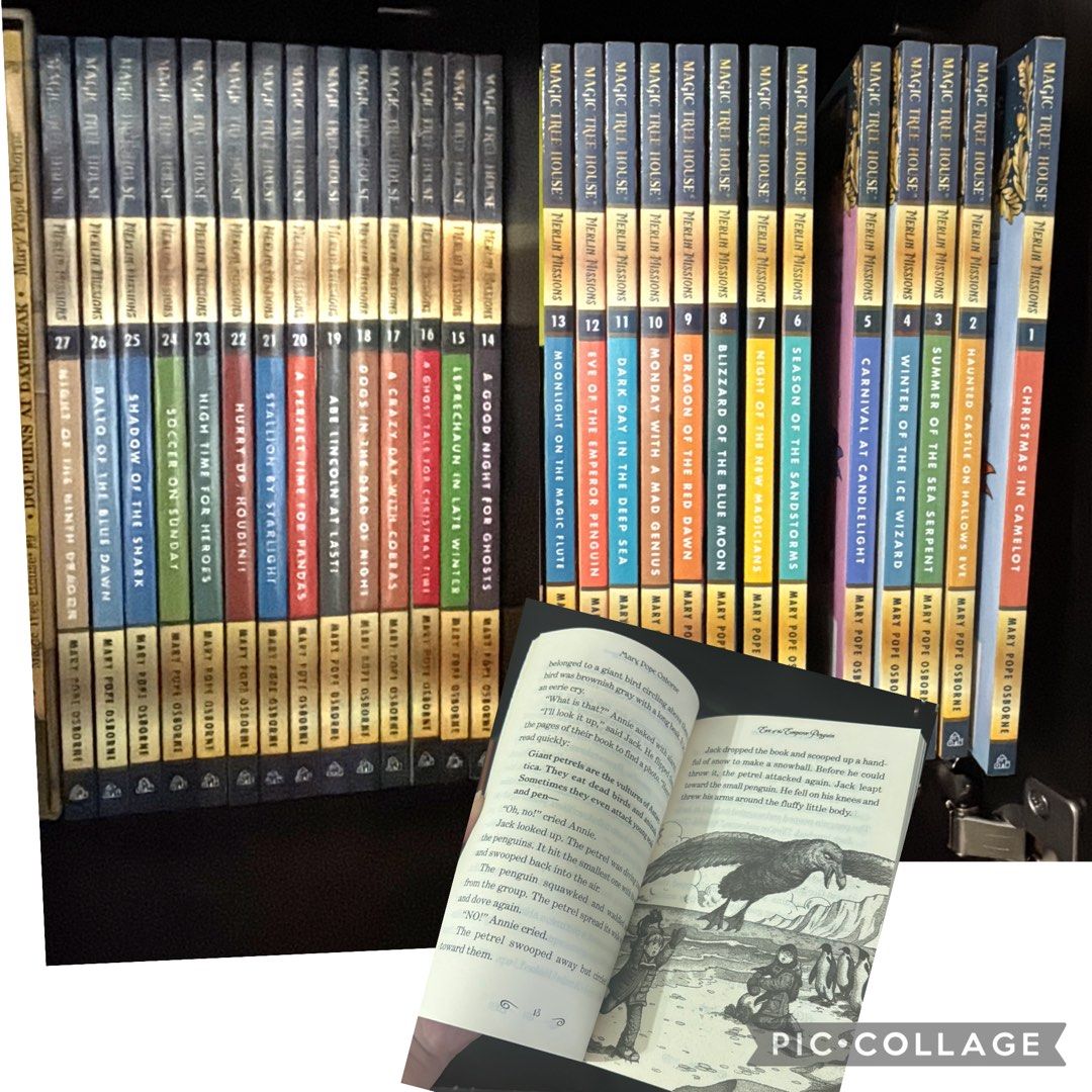 Magic Tree House Book Series - Complete Set, Hobbies & Toys, Books ...
