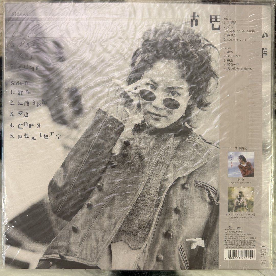 Faye Wong - 王菲胡思乱想/ 梦游黑胶LP Vinyl Record, Hobbies & Toys