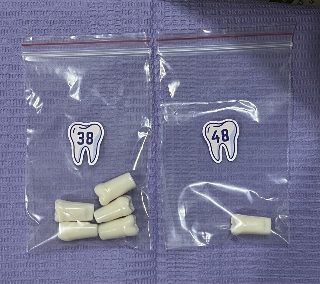 Nissin Typodont Teeth Refills (Category: Medical Supplies & Tools) located in Quezon City. Submitted by _gdjshop (Listing ID 1424790307, Image 2). Description: 🦷 18 – 5 pcs 🦷 28 – 5 pcs 🦷 38 – 5 pcs 🦷 48 – 1 pc 🦷 Original price: ₱75 Take all for P960. And with free Nissin-fit screws RFS: Decluttering.