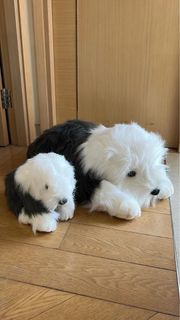（分類：）位於 。 由 markethome 提交（商品編號 1424738583，圖片 1）。簡介： 。