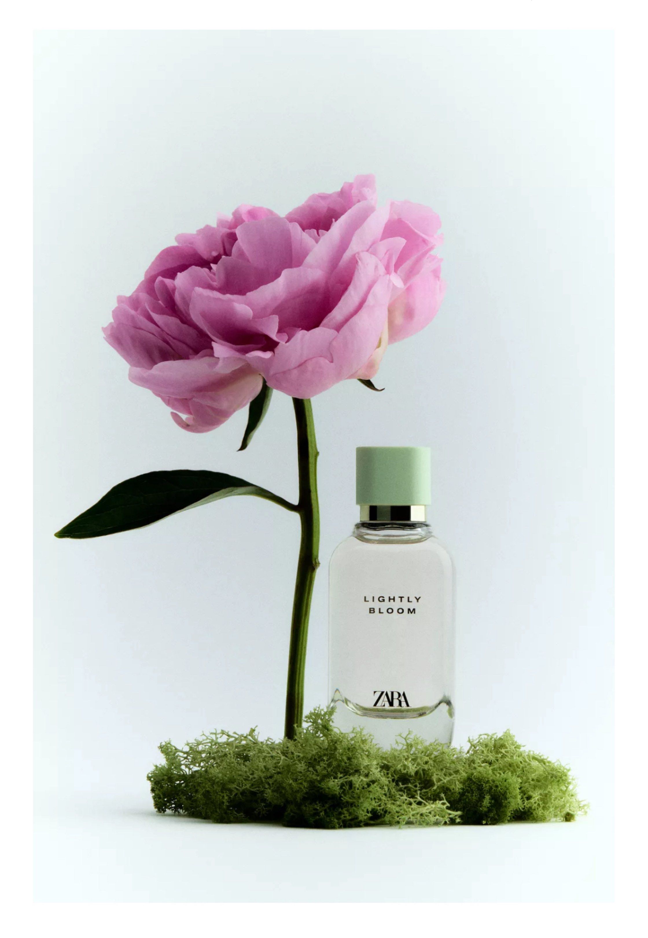 Zara Lightly Bloom Eau de Parfum 100ml (Category: Fragrance & Deodorants) located in Manila. Submitted by mi4mi (Listing ID 1424755840, Image 1). Description: .