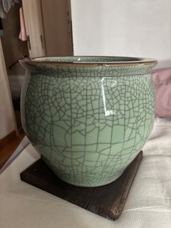 （分類：）位於 。 由 angellcoucou 提交（商品編號 1424909995，圖片 1）。簡介： 。