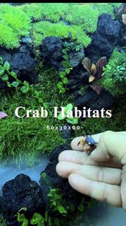 (Category: ) located in . Submitted by nature_art_studio (Listing ID 1425029306, Image 1). Description: .