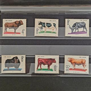 (Category: ) located in . Submitted by amuletstree (Listing ID 1425143427, Image 1). Description: .