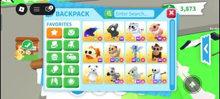 (Category: ) located in . Submitted by adoptmepetsforcheap (Listing ID 1425130795, Image 1). Description: .