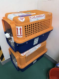 （分類：）位於 。 由 doc32415 提交（商品編號 1425244718，圖片 1）。簡介： 。