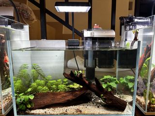 (Category: ) located in . Submitted by calcool77 (Listing ID 1425228448, Image 1). Description: .