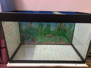 (Category: ) located in . Submitted by syhrah (Listing ID 1425185696, Image 1). Description: .