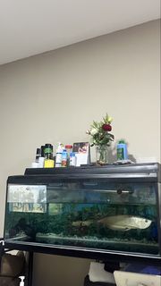 (Category: ) located in . Submitted by nrlmysrh (Listing ID 1425229049, Image 1). Description: .