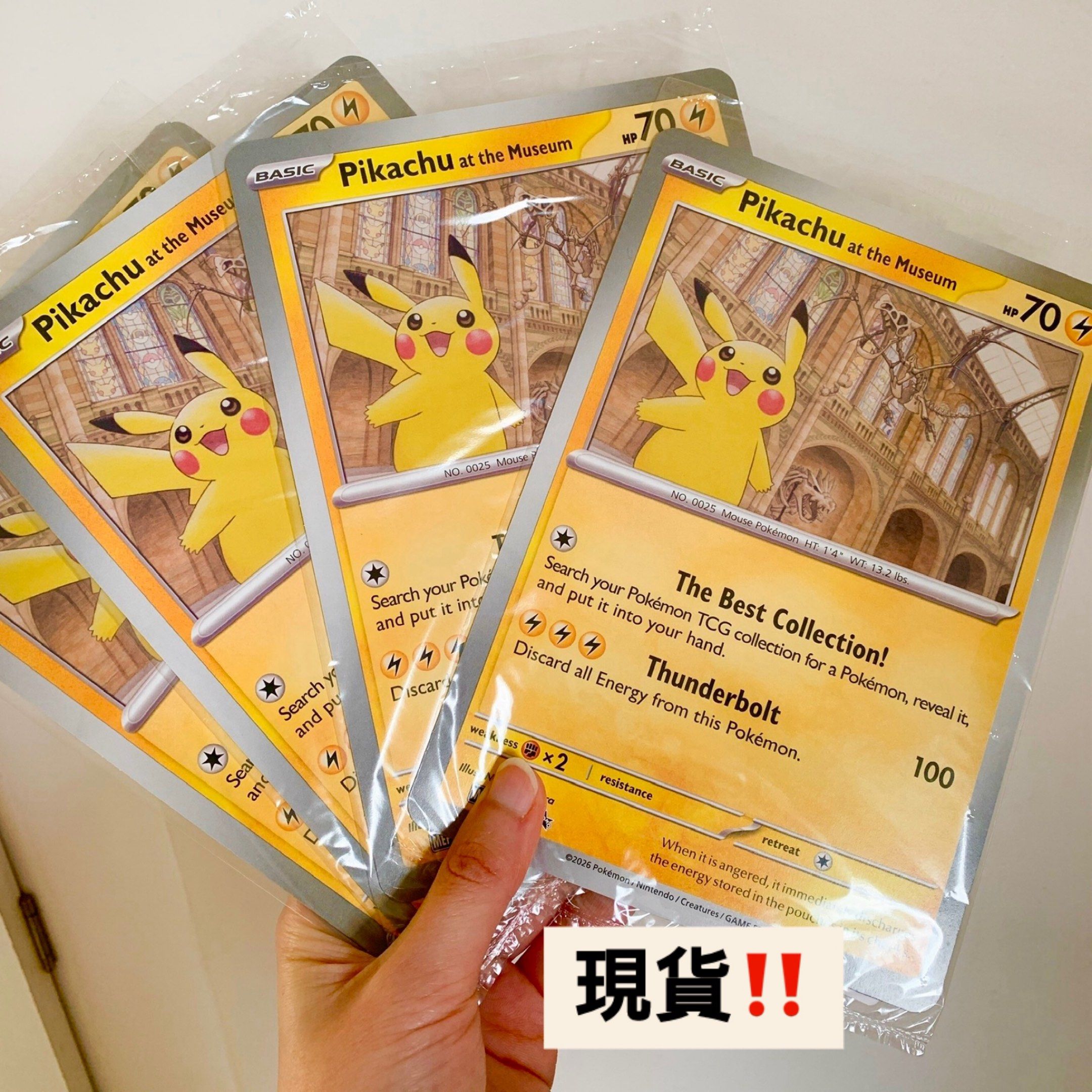 新品未開封 Pikachu at the Museum 限定 博物館 ピカチュウ 新品未開封