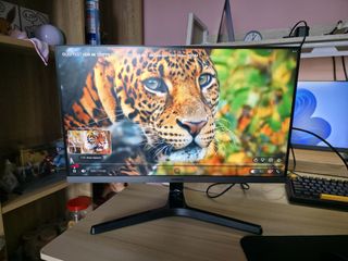 (Category: ) located in . Submitted by hello745 (Listing ID 1424880470, Image 1). Description: .