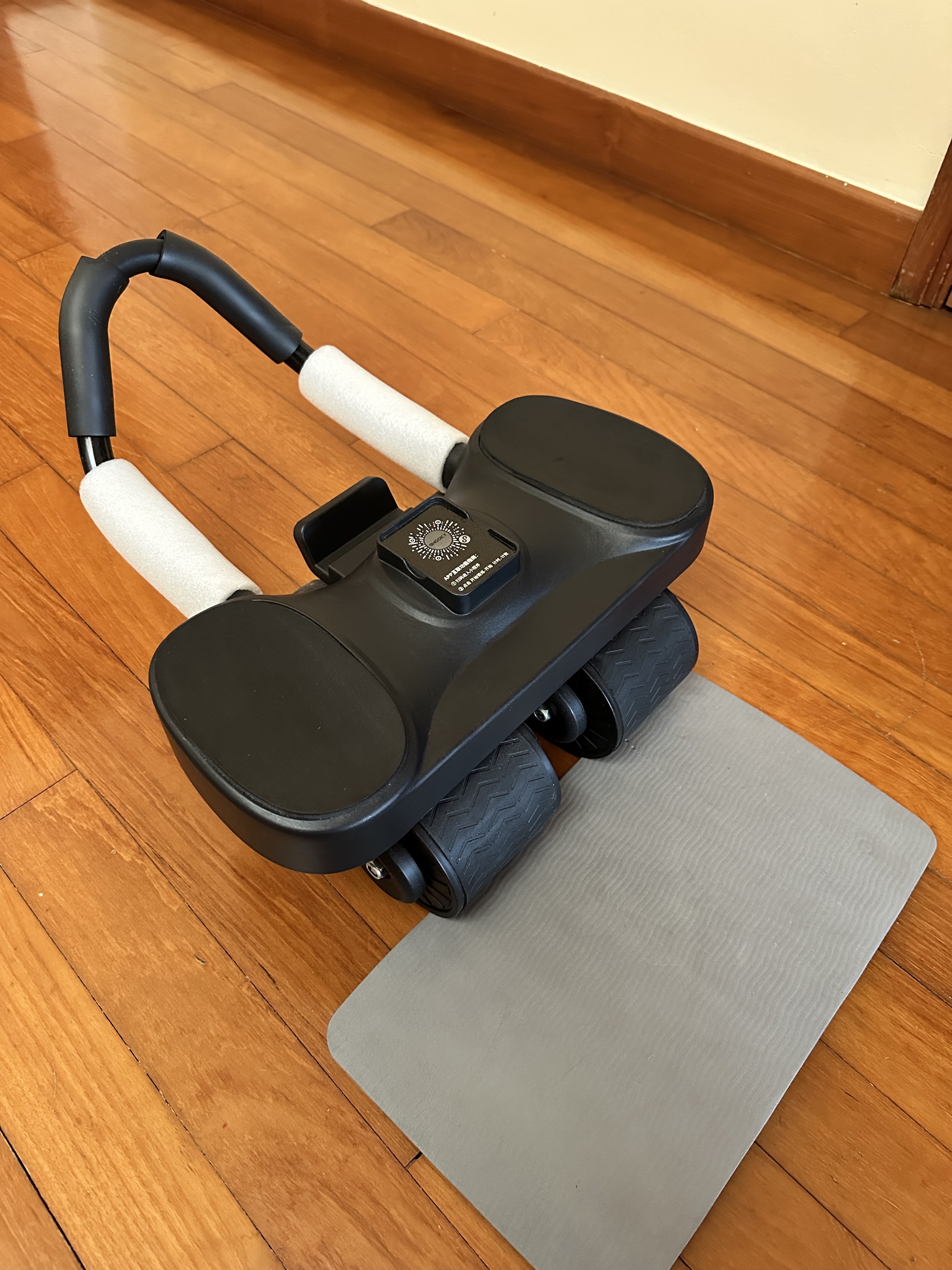 Abdominal Exercise Roller with Mat, Sports Equipment, Exercise ...