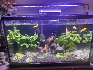 (Category: ) located in . Submitted by krispy22 (Listing ID 1425257830, Image 1). Description: .