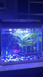 (Category: ) located in . Submitted by nick.storezz (Listing ID 1425354198, Image 1). Description: .