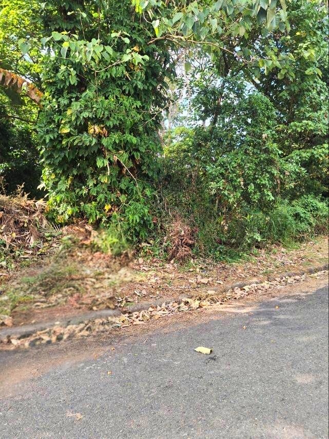 (Category: ) located in . Submitted by thatsbrokerraven (Listing ID 1425443916, Image 1). Description: .