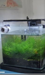 (Category: ) located in . Submitted by Andy_0123 (Listing ID 1403239857, Image 1). Description: .