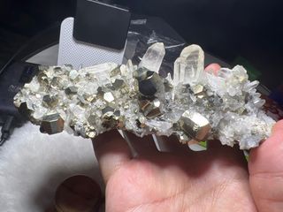 (Category: ) located in . Submitted by crystalcatch (Listing ID 1425405168, Image 1). Description: .
