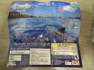 （分類：）位於 。 由 kc1am 提交（商品編號 1425270186，圖片 1）。簡介： 。